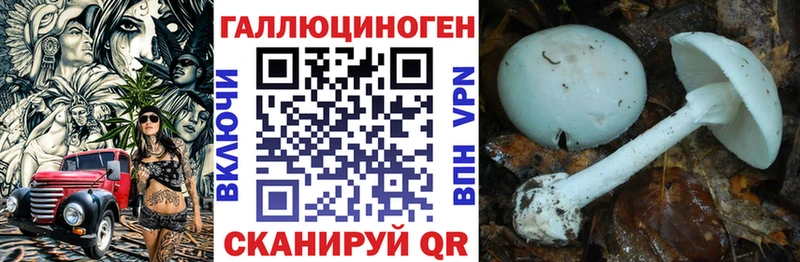 Галлюциногенные грибы GOLDEN TEACHER Свободный